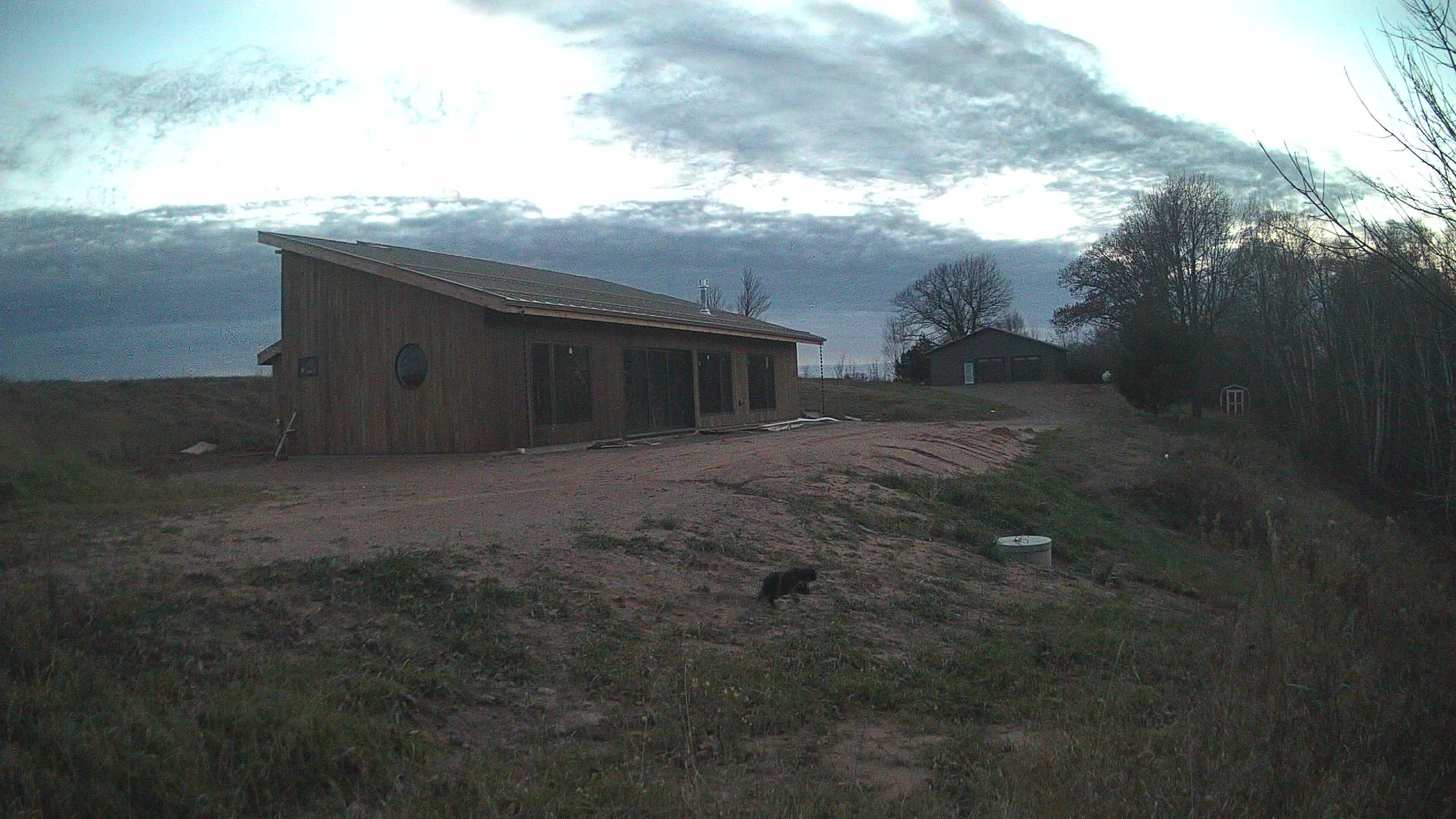 A photo from the field camera