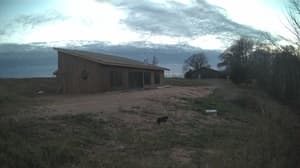 A newer photo from the camera