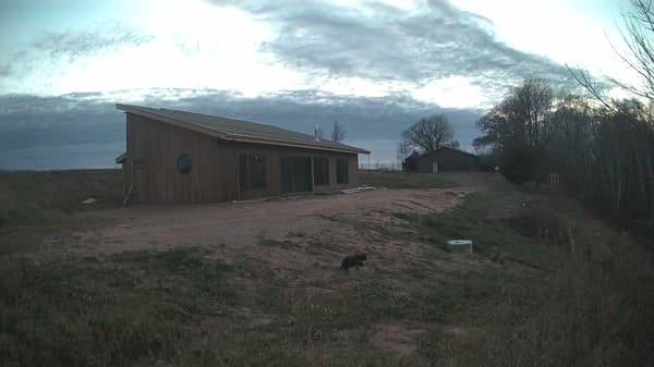 The field cam, Nov 17, 2025 at 3:03pm