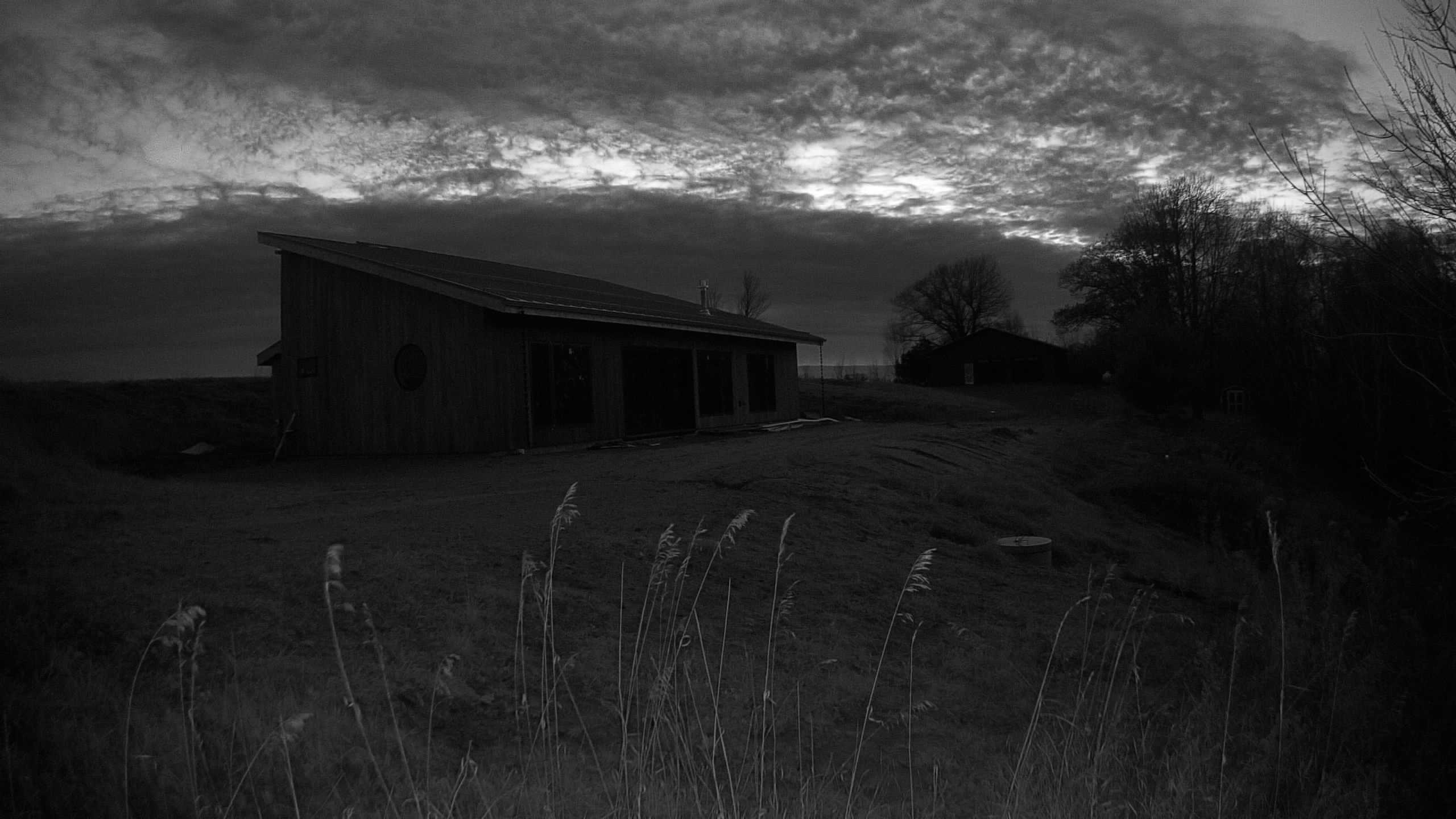 A photo from the field camera