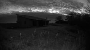 A newer photo from the camera