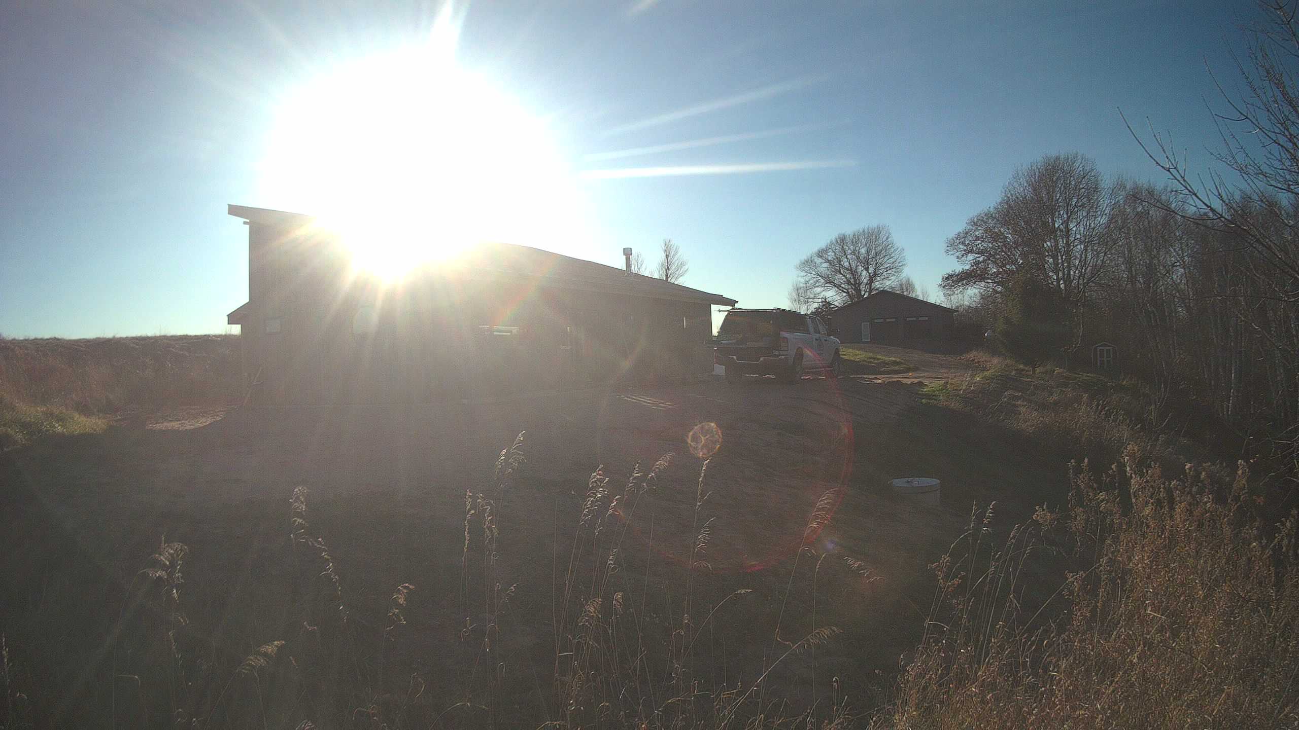 A photo from the field camera