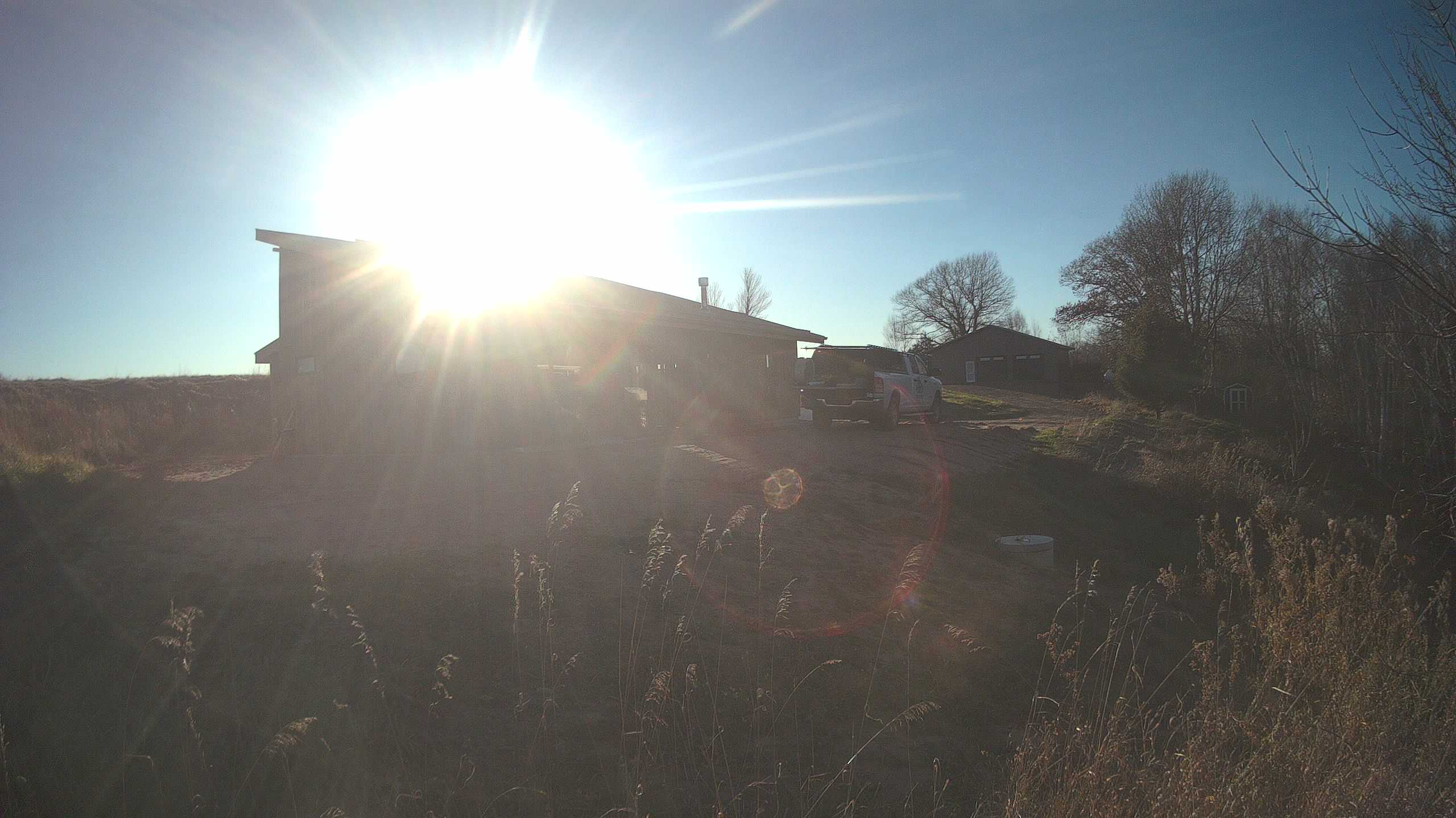 A photo from the field camera