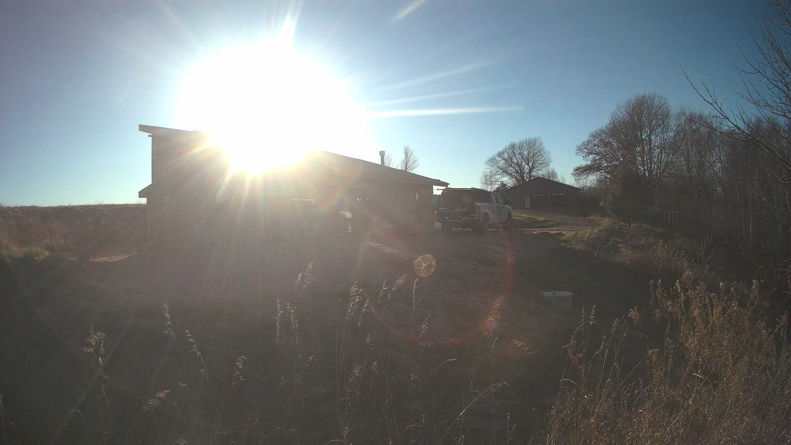 A photo from the field camera