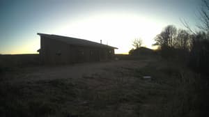 Currently viewing photo