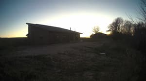 An older photo from the camera