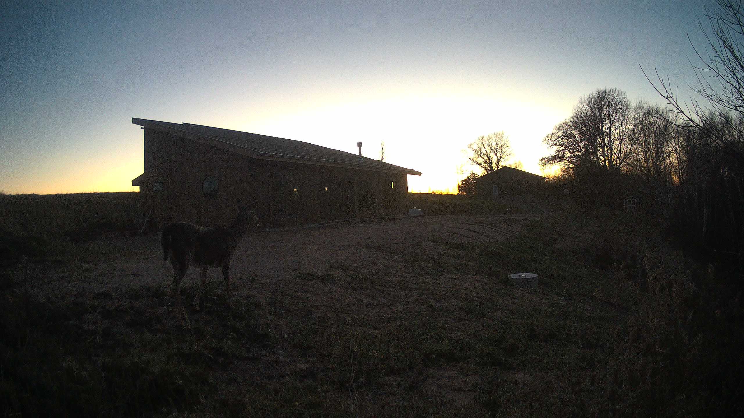 The field cam, Nov 18, 2025 at 2:57pm