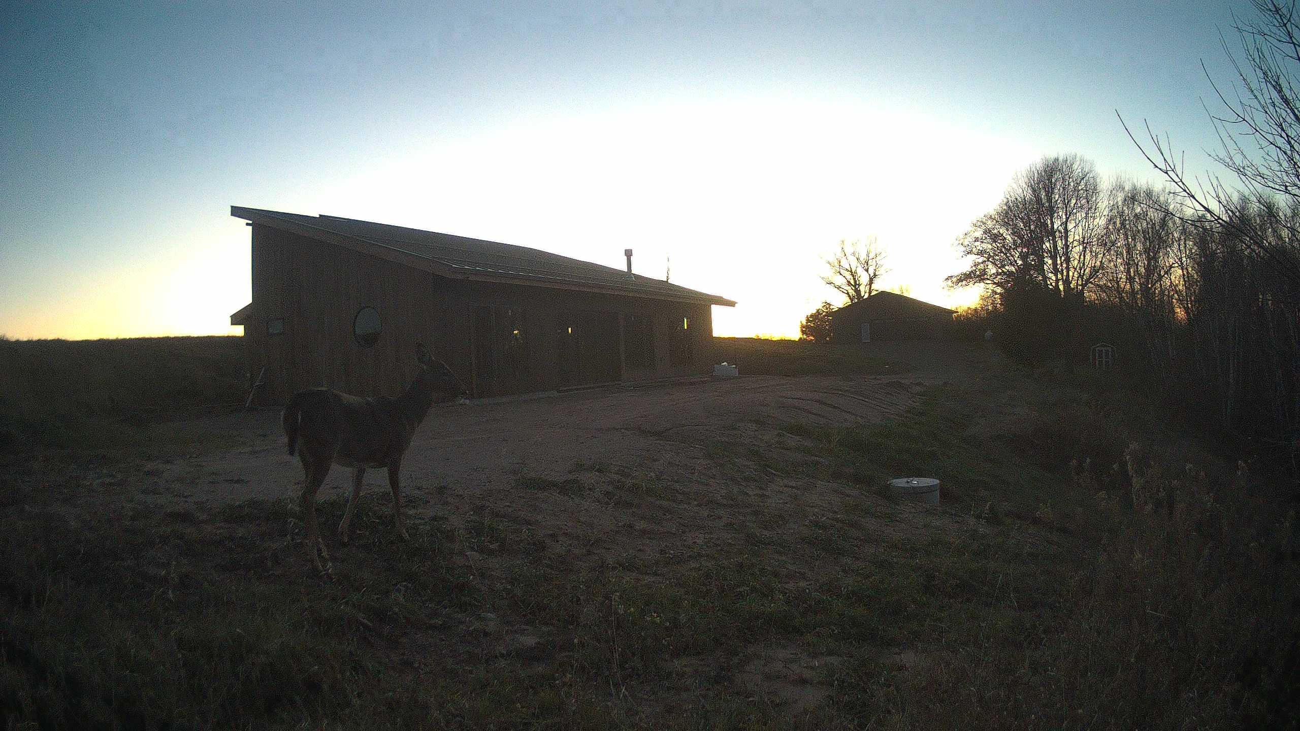 The field cam, Nov 18, 2025 at 2:58pm