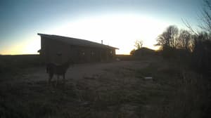 An older photo from the camera