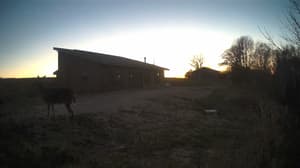 An older photo from the camera