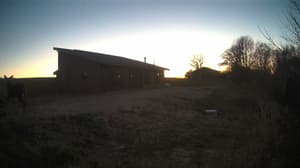 An older photo from the camera