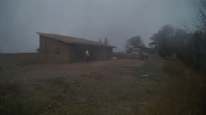 Currently viewing photo