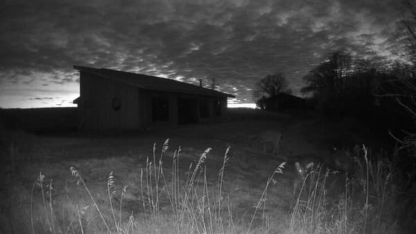 The field cam, Nov 21, 2025 at 3:22pm