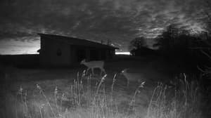 A newer photo from the camera