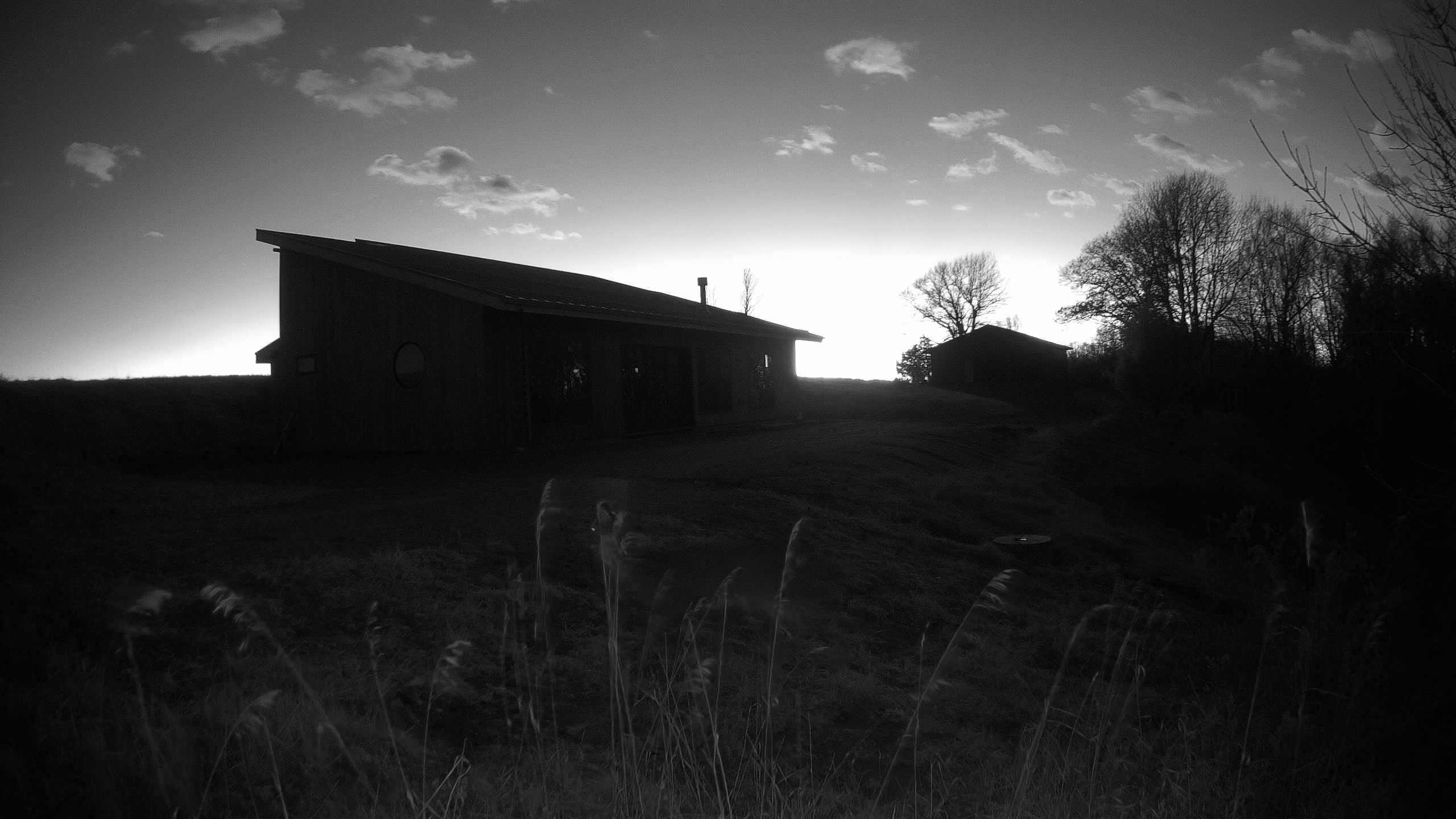 A photo from the field camera