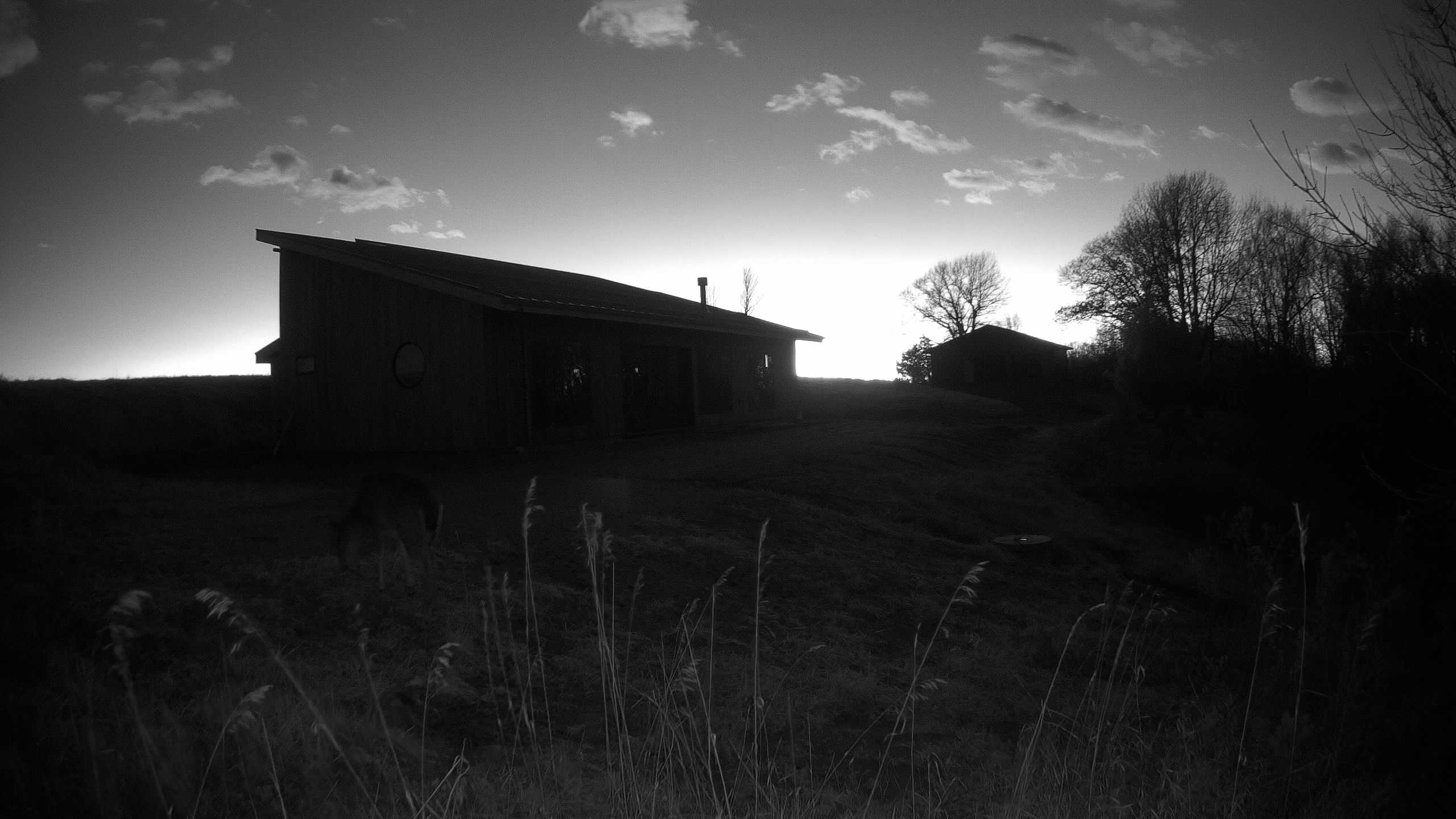 A photo from the field camera