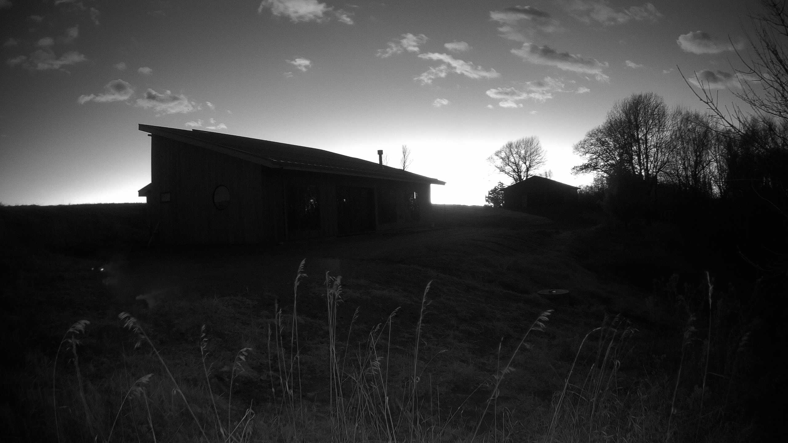 A photo from the field camera