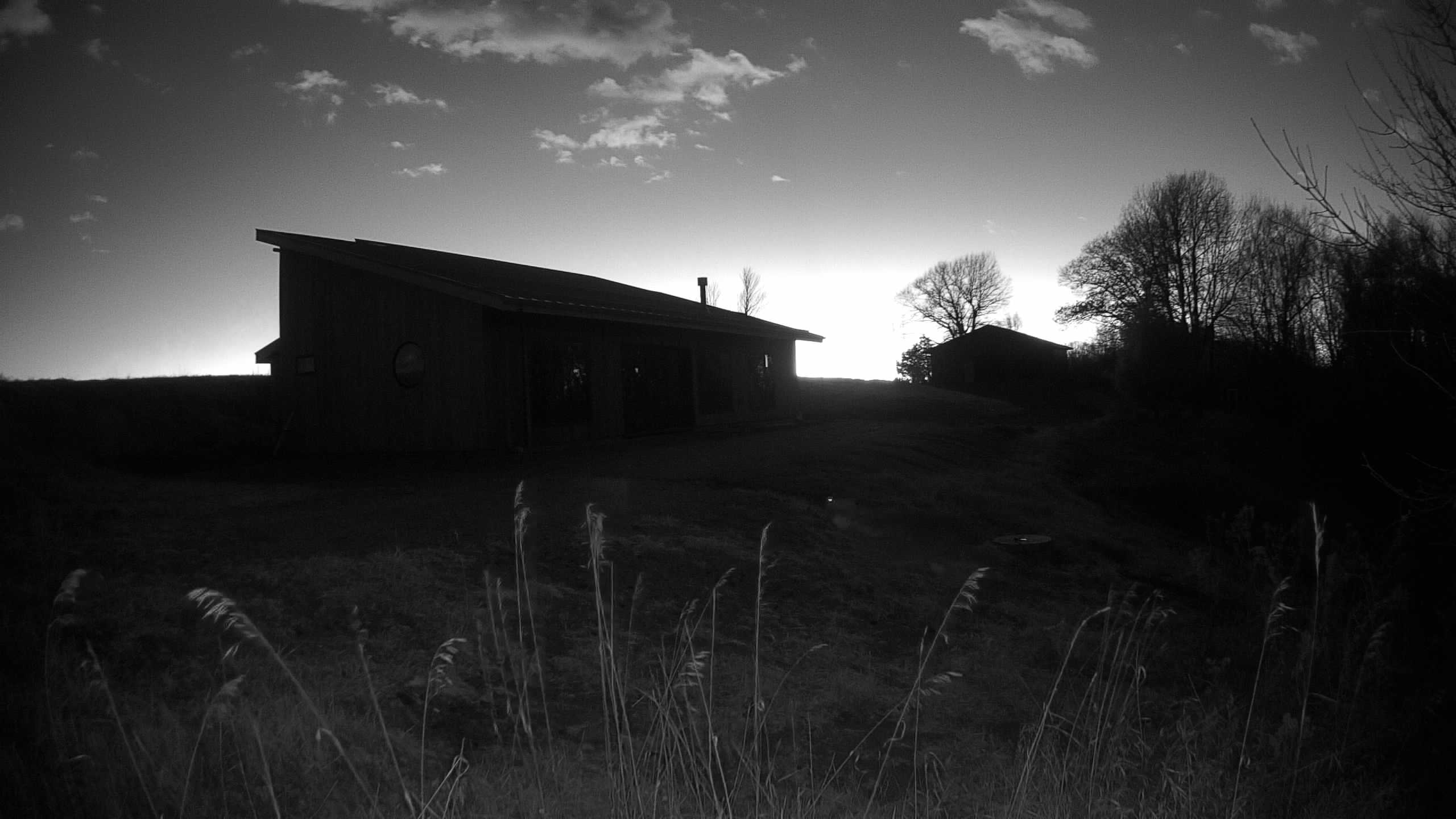 A photo from the field camera