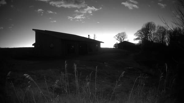 The field cam, Nov 22, 2025 at 3:15pm