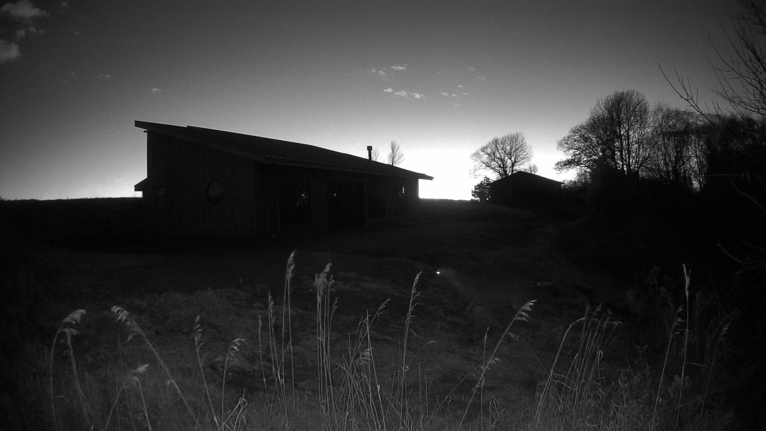 A photo from the field camera