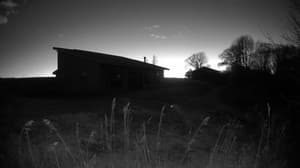 Currently viewing photo