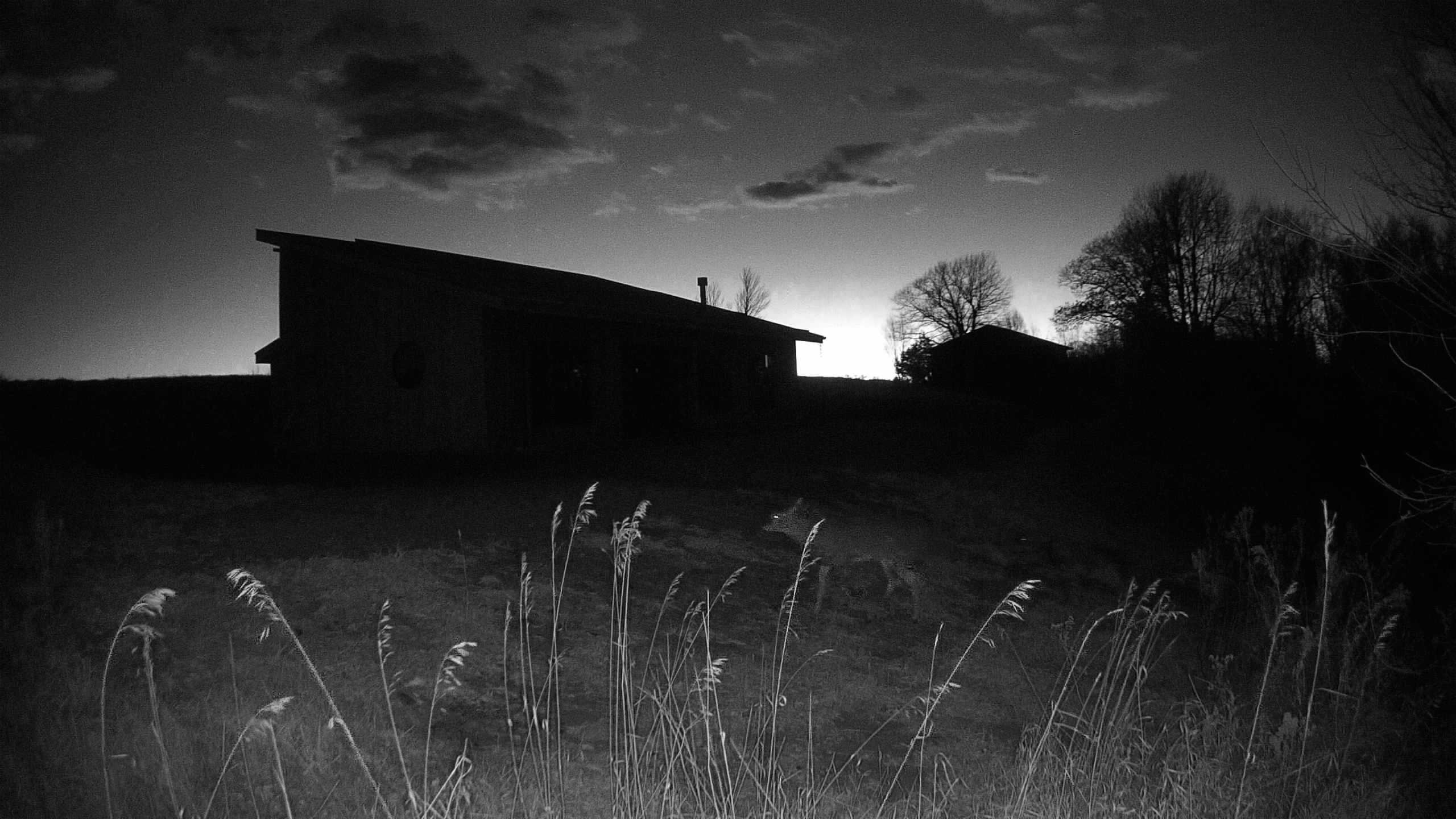 The field cam, Nov 22, 2025 at 3:29pm