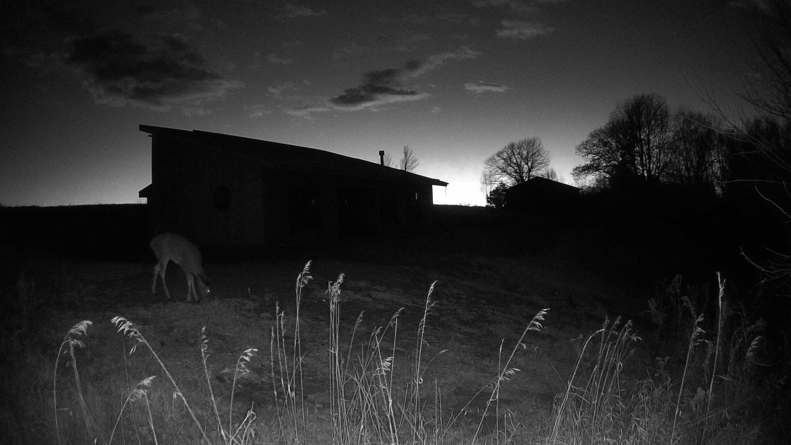 A photo from the field camera