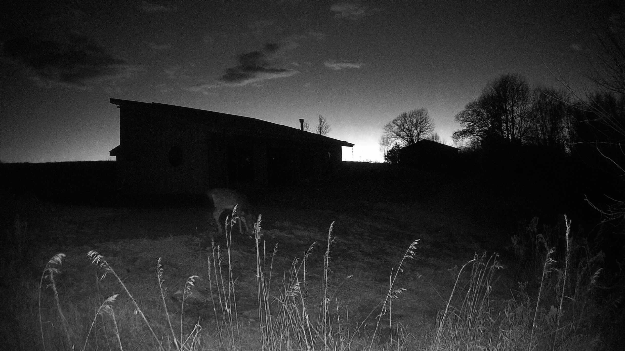 A photo from the field camera