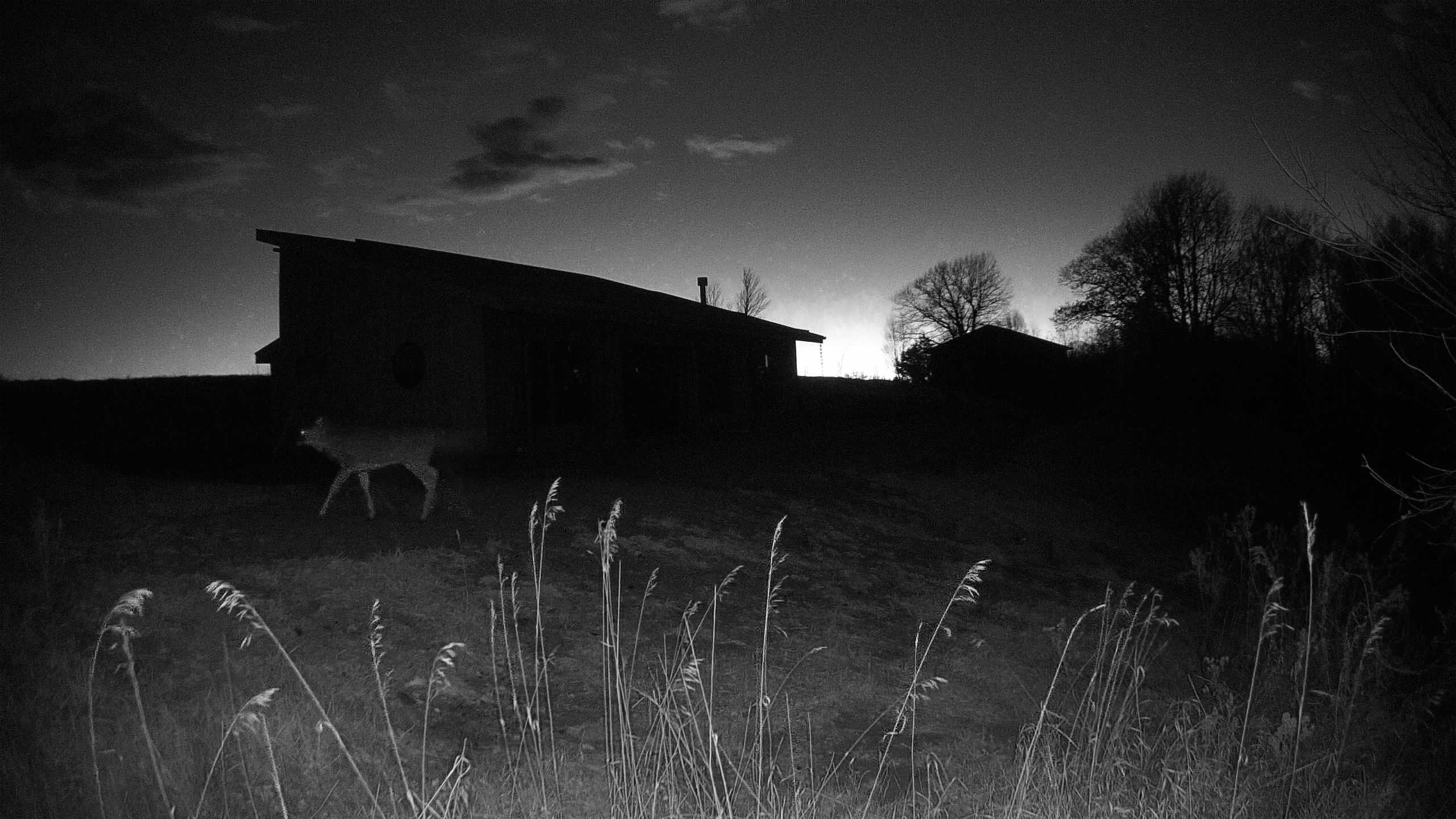 A photo from the field camera