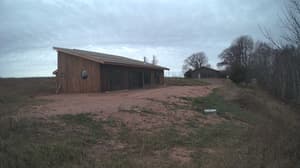 An older photo from the camera