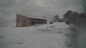 Currently viewing photo