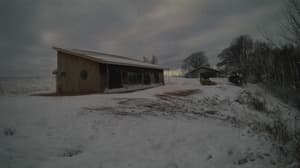 An older photo from the camera