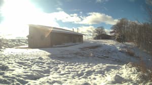 An older photo from the camera