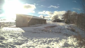 An older photo from the camera