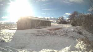 Currently viewing photo