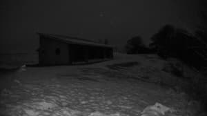 An older photo from the camera