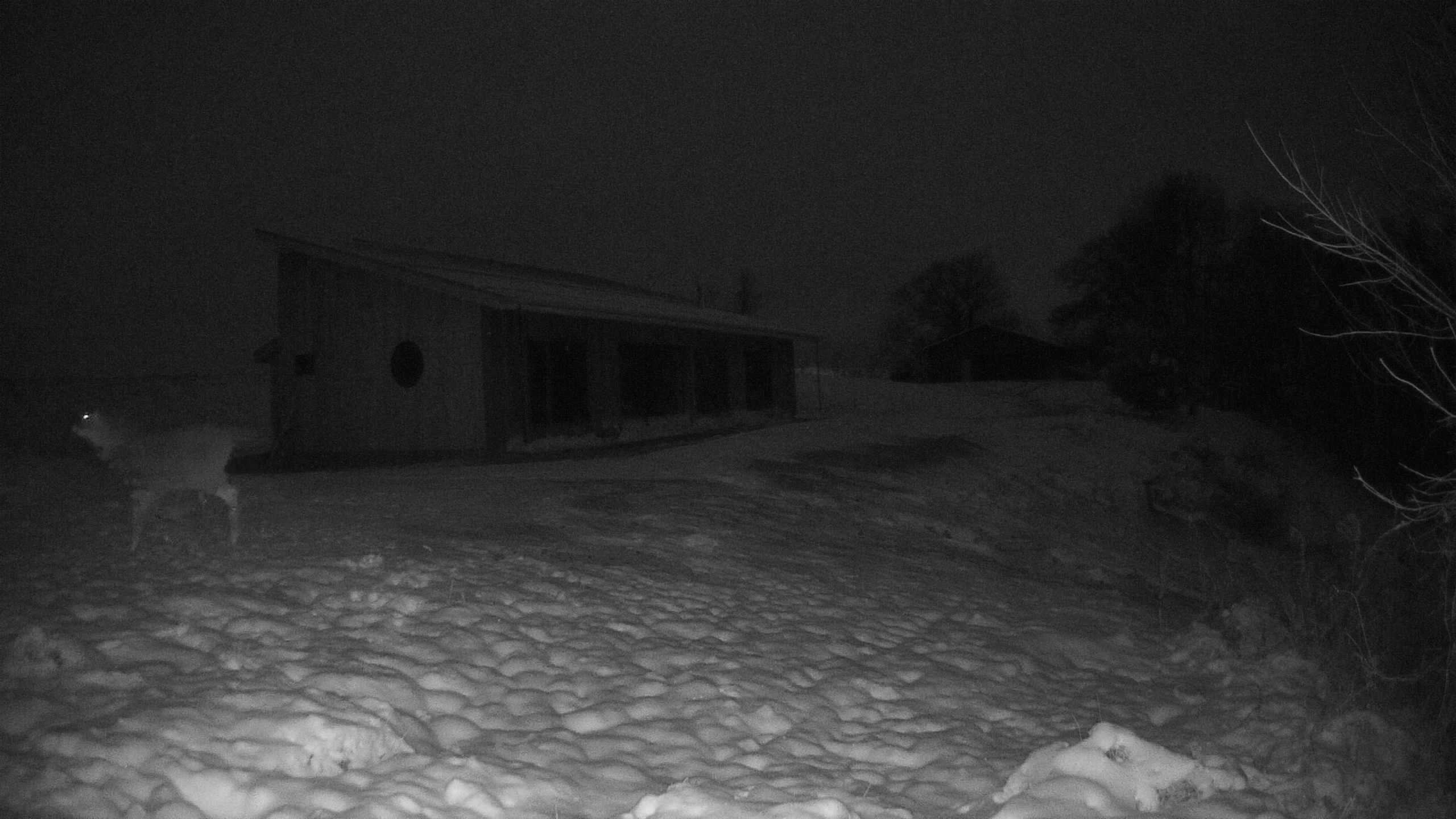 A photo from the field camera