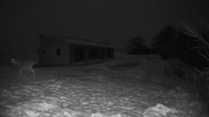 An older photo from the camera