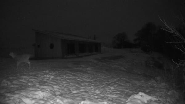 The field cam, Nov 28, 2025 at 3:19pm