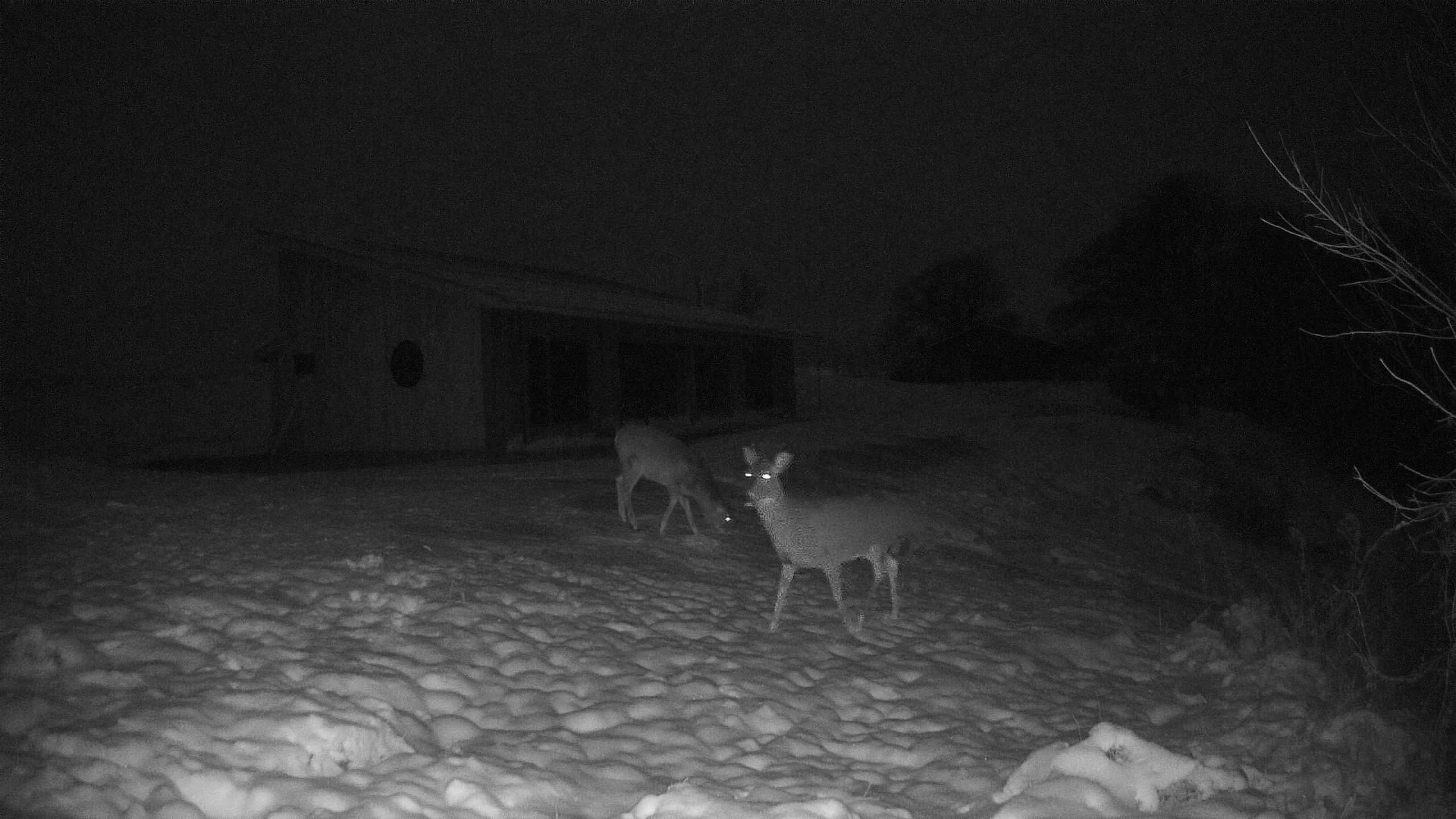 The field cam, Nov 28, 2025 at 3:22pm