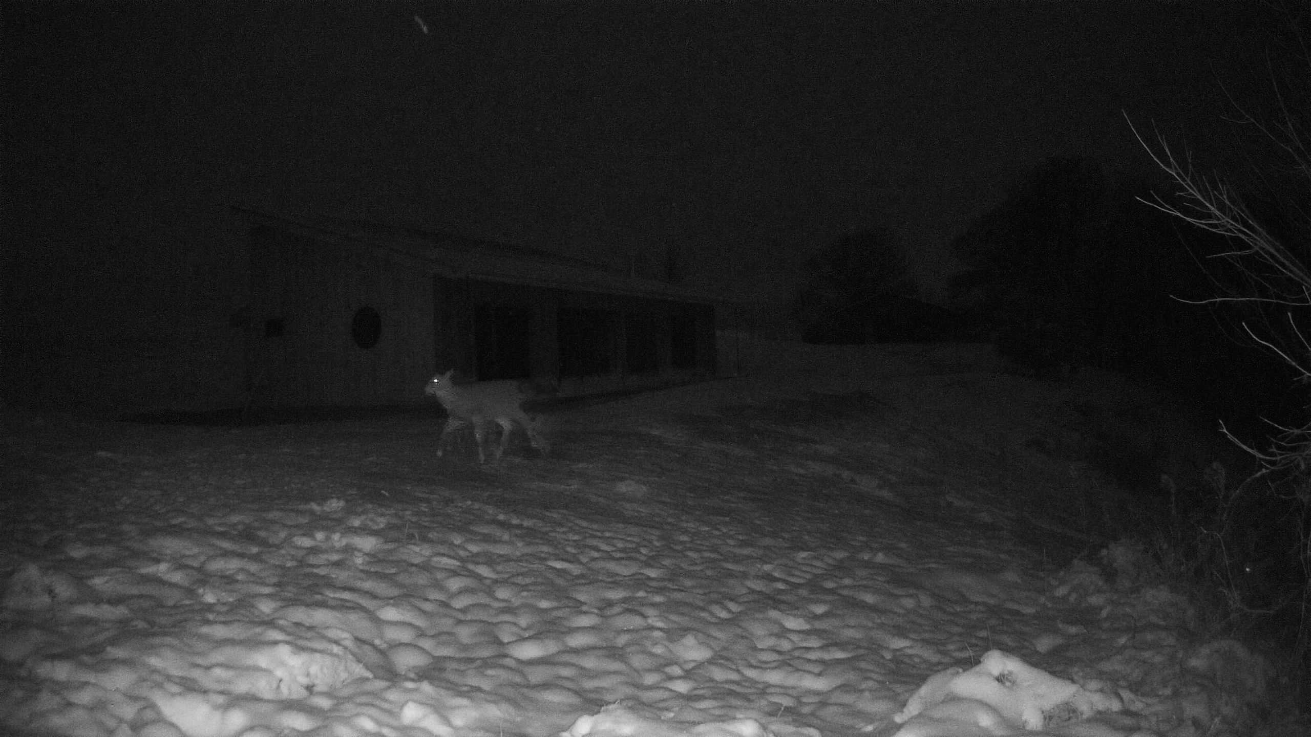 A photo from the field camera