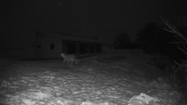 The field cam, Nov 28, 2025 at 3:23pm