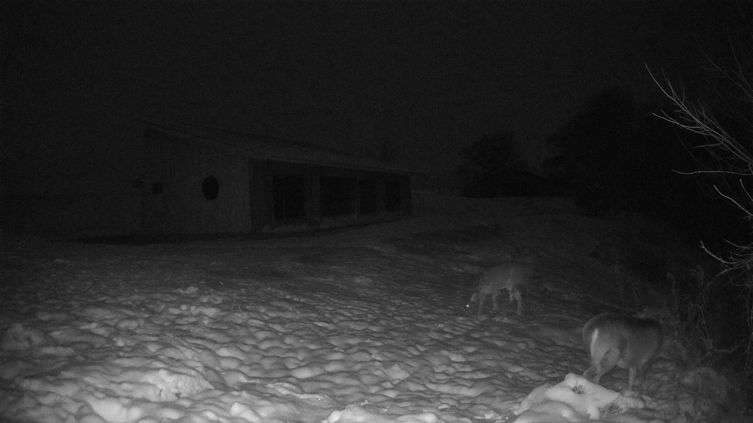 A photo from the field camera