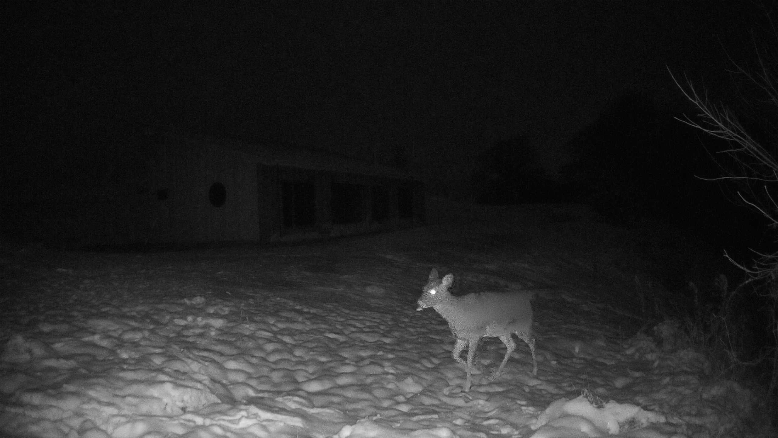 A photo from the field camera