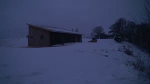 A newer photo from the camera