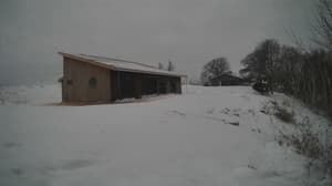 A newer photo from the camera