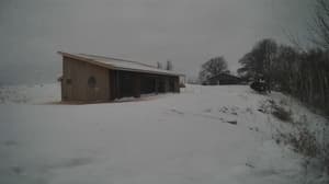 A newer photo from the camera