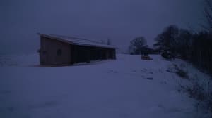 A newer photo from the camera