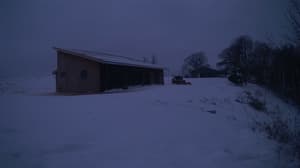 A newer photo from the camera