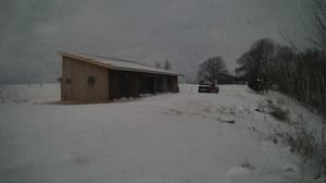 An older photo from the camera